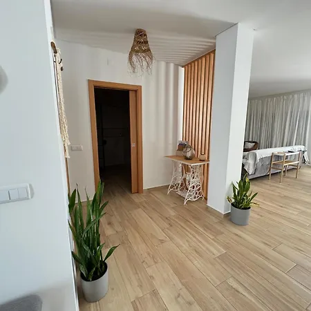 Palma House - Dream Holidays *