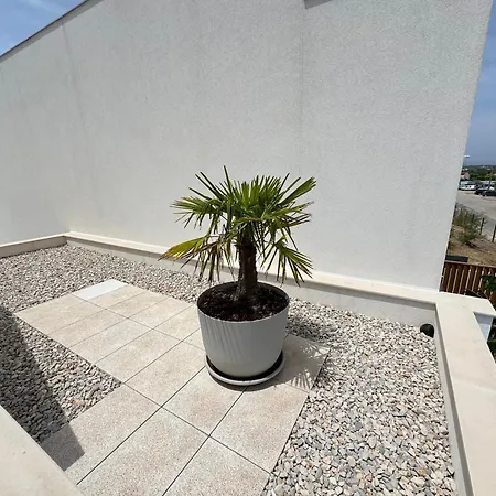 Palma House - Dream Holidays